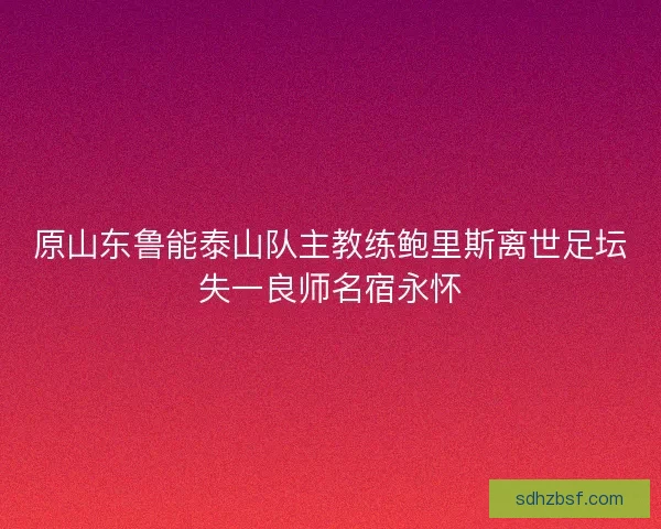 原山东鲁能泰山队主教练鲍里斯离世足坛失一良师名宿永怀